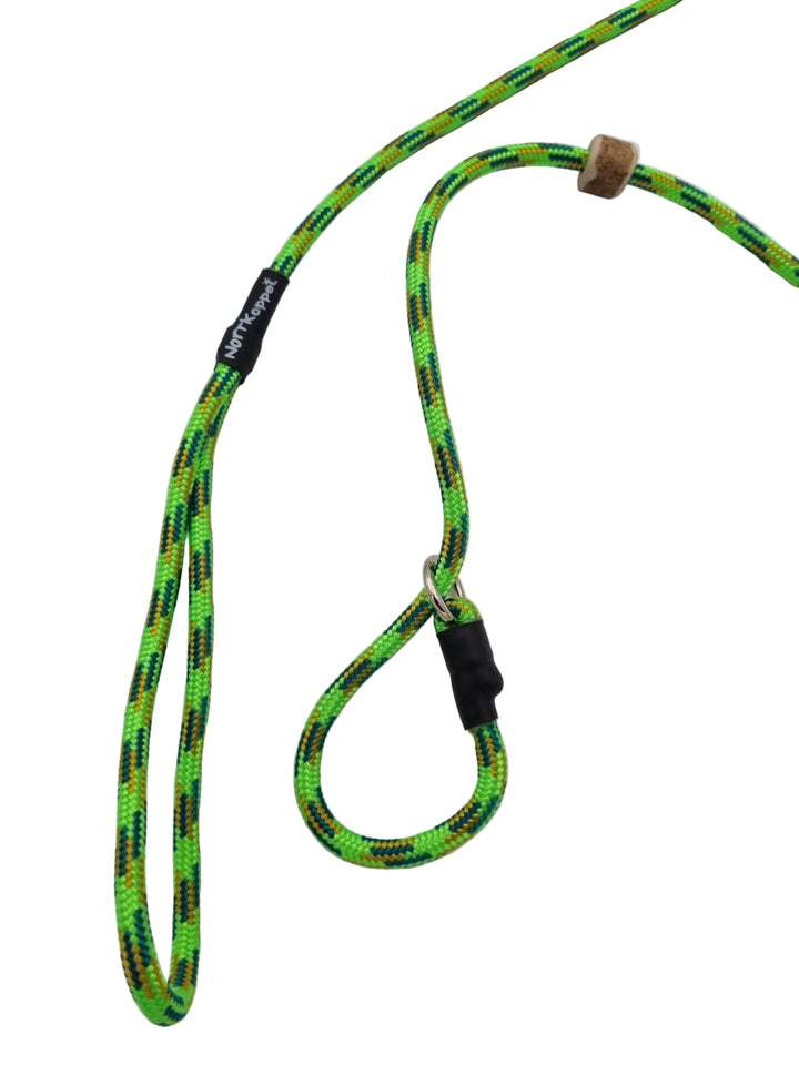 Retrieverkoppel Golden Kiwi