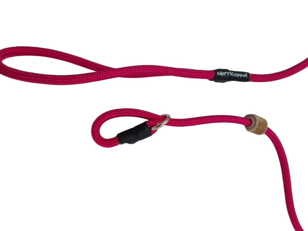 Noutajatalutin Fuchsia