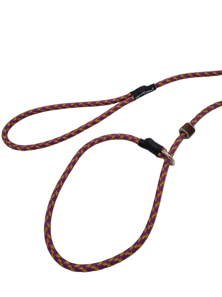 Noutajatalutin Golden Amethyst