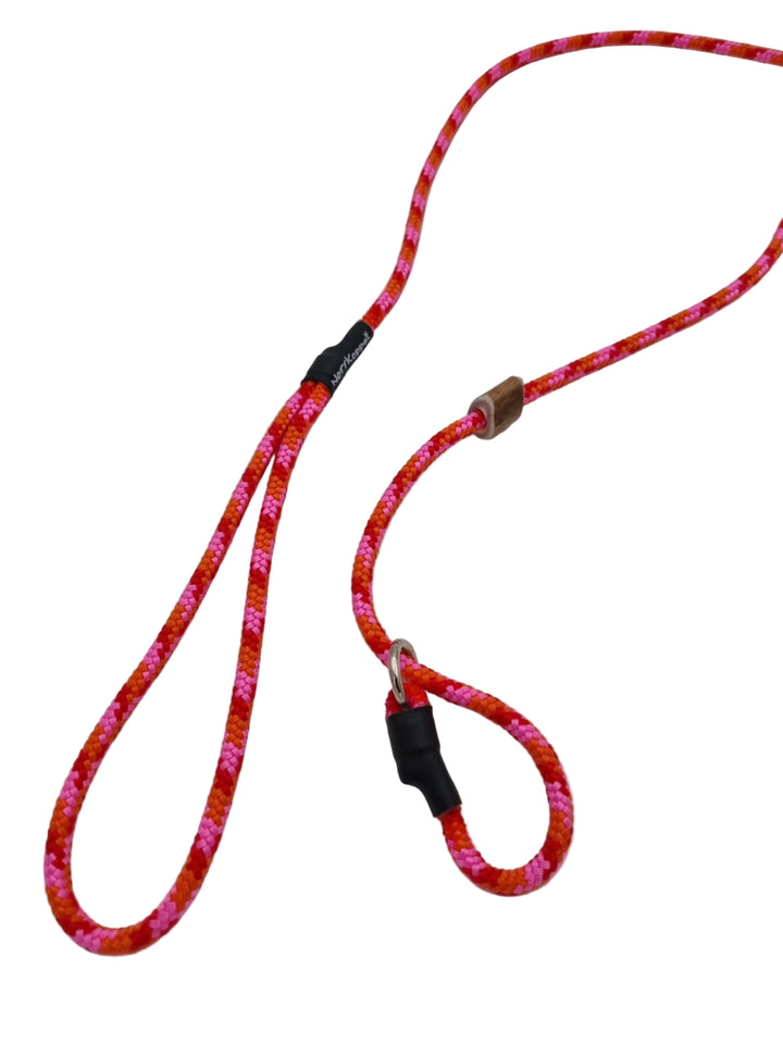 Retrieverkoppel Sunset