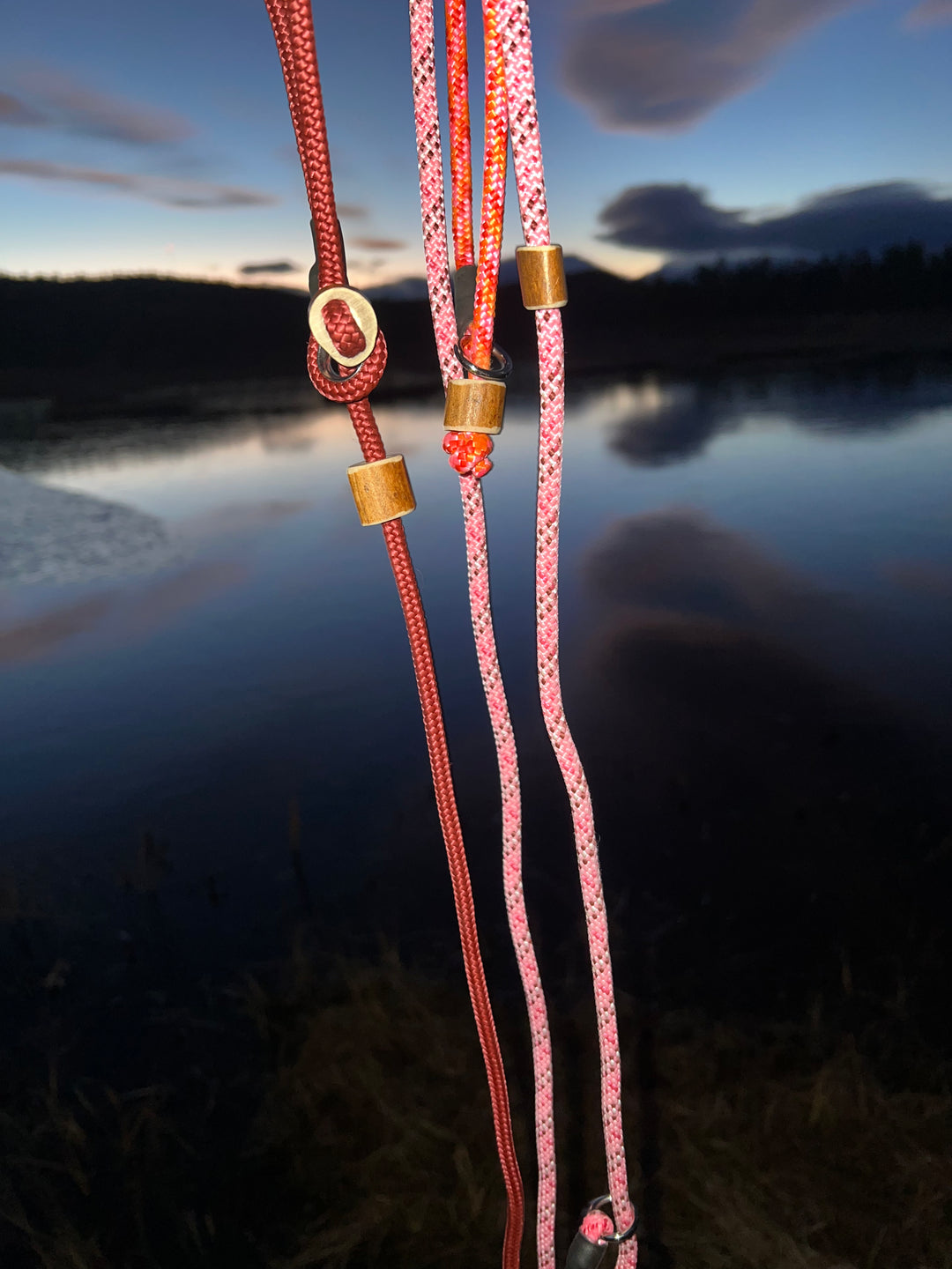 Retrieverkoppel Sunset