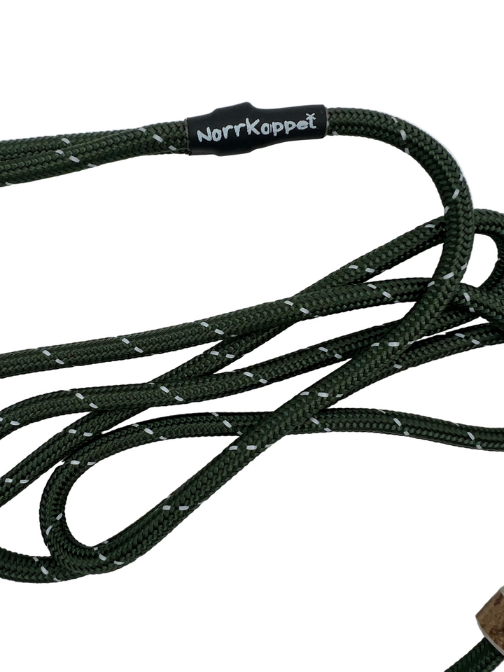 Retrieverkoppel Glowing Forest