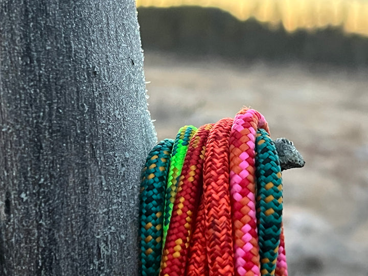 Retrieverkoppel Golden Kiwi