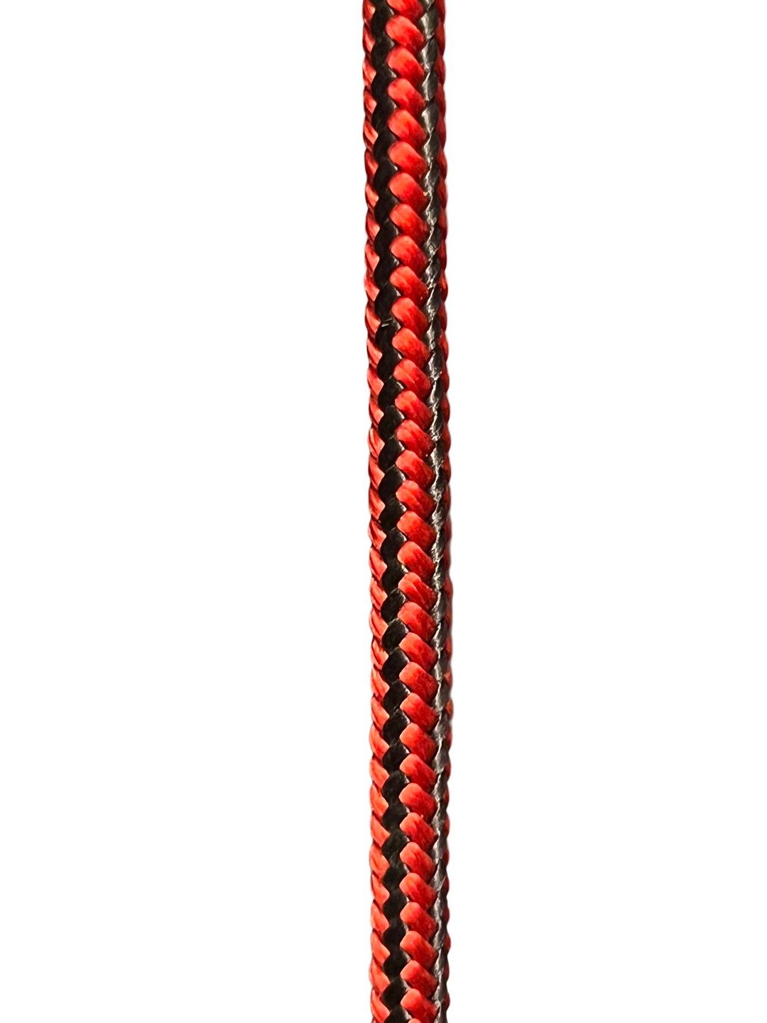 Näyttelytalutin Ladybug