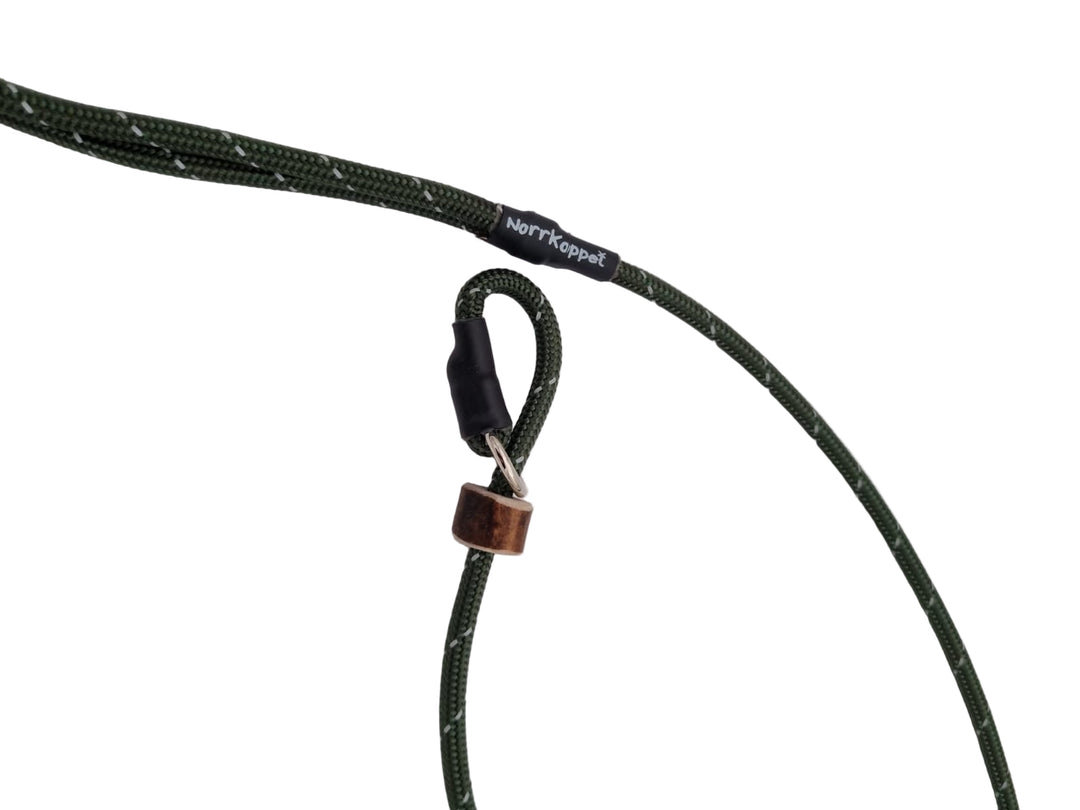 Retrieverkoppel Glowing Forest