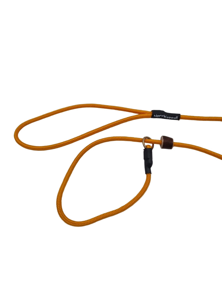 Näyttelytalutin Orange