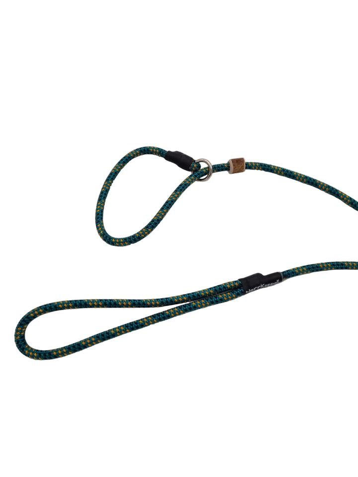 Retrieverkoppel Aurora